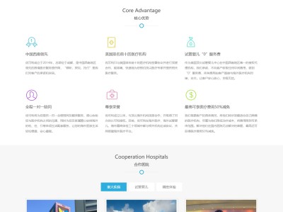【K382】医疗试管婴儿海外就医服务企业网站模板