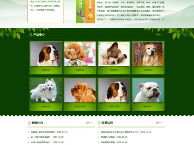 【K259】宠物店宠物培训机构饲养育种服务公司网站模板