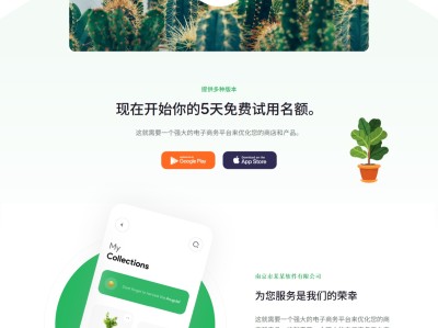 【K519】响应式APP应用程序软件介绍公司网站模板